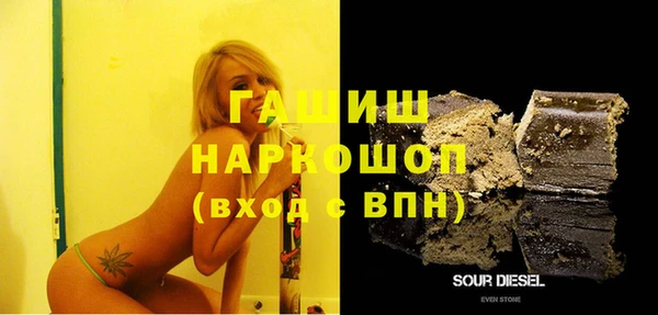 шишки Медвежьегорск