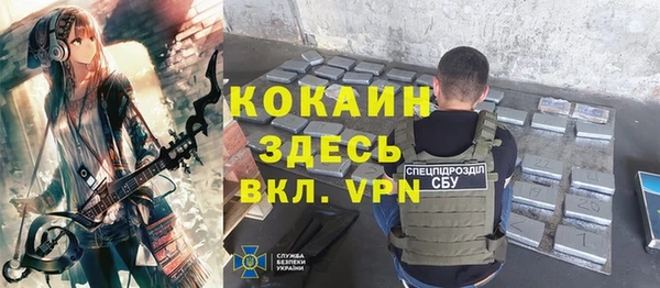 шишки Медвежьегорск