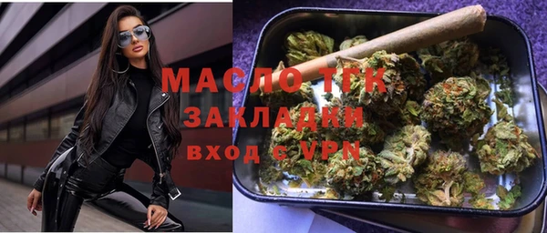 шишки Медвежьегорск