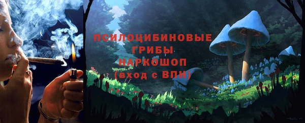 шишки Медвежьегорск