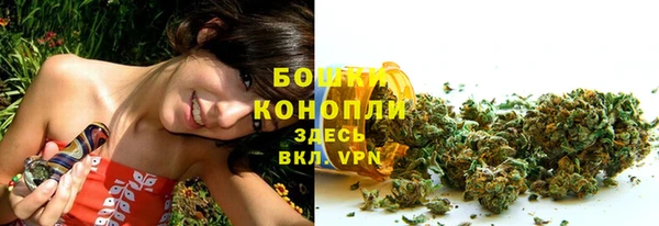 шишки Медвежьегорск