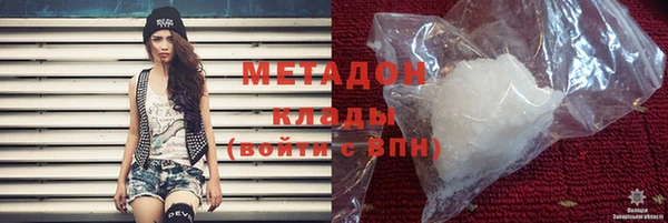 шишки Медвежьегорск