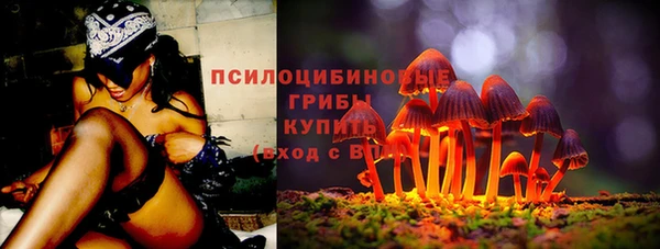 стаф Мегион